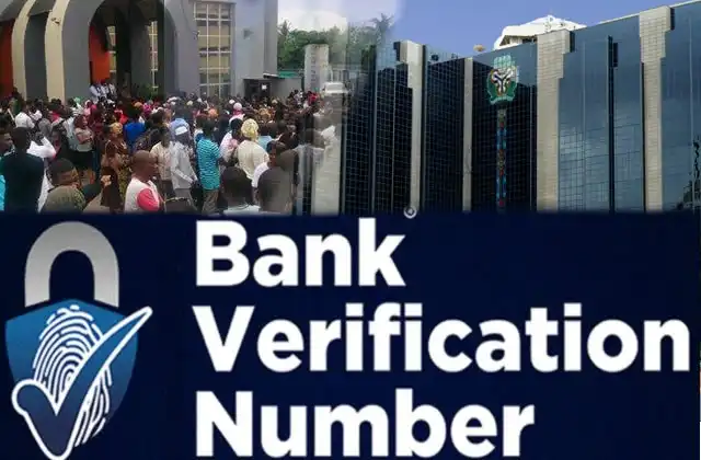 BVN (1)