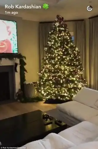 No presents: He continues to point out all the Christmas lights and decorations he set up for his absent family