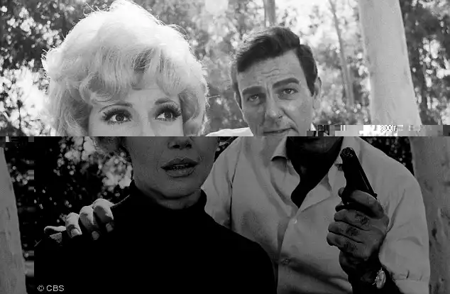 Armed: As Variety have noted, the first of Mannix' eight series on CBS drew disappointing ratings for the network, which considered scuppering the programme until Lucille Ball, president of the show's home company Desilu Productions, persuaded them to keep it on; Connors is pictured with Ruta Lee on a 1967 episode entitled Run, Sheep, Run
