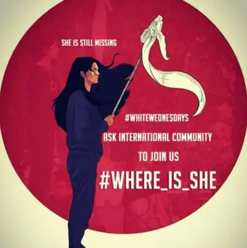 Join the force: After initially being shared by human rights campaigners in Iran, the fight to find out the fate of the Girl of Enghelab Street has gone global