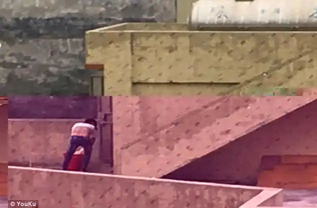 Factory owner said no one would be able to look after the dog over holidays, so it had to die