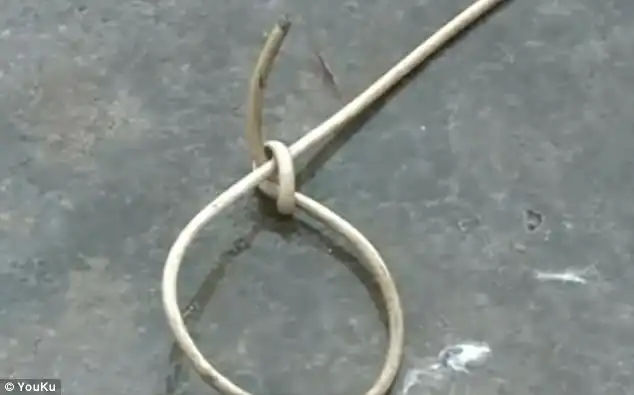 Footage taken on January 28, shows the dog struggling to breathe as it got strapped by a rope