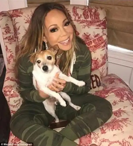 Wagging their tails! The founders of dog-walking app favored by Mariah Carey have landed a 0MILLION investment