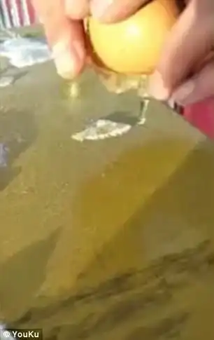 Wang Ping films a footage of breaking a raw egg on a metal surface in Huzhong, northern China