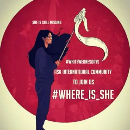 Join the force: After initially being shared by human rights campaigners in Iran, the fight to find out the fate of the Girl of Enghelab Street went global