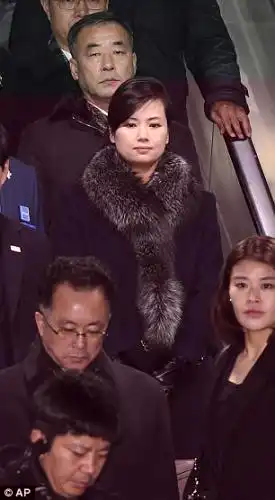 TV stations in South Korea aggressively reported on Hyon's career and band, as well as her fox-fur muffler, boots and facial expressions