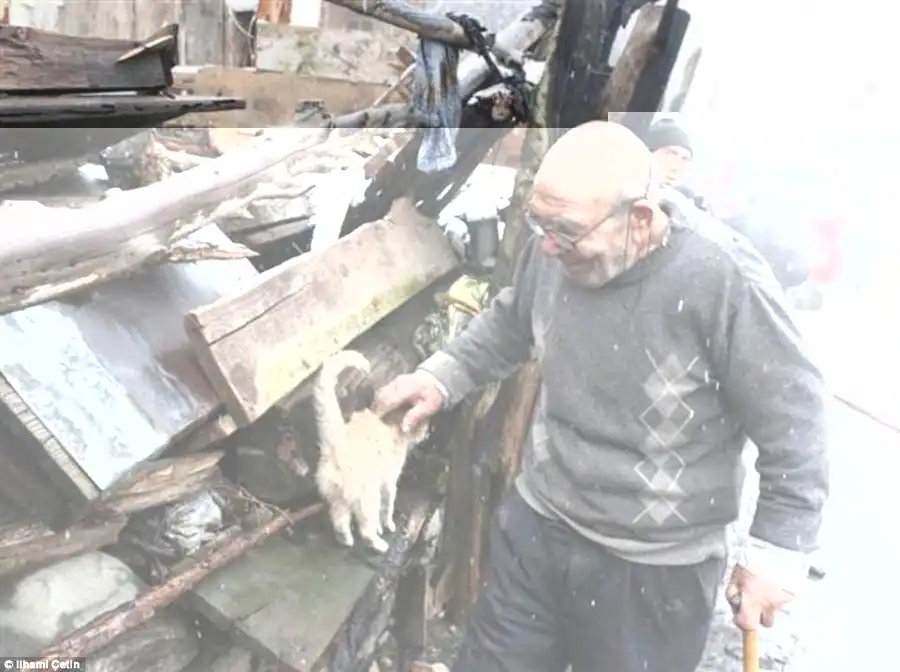 Ali has always been very fond of cats and had a handful living with him at the time of the tragic accidentbut only one managed to get out alive