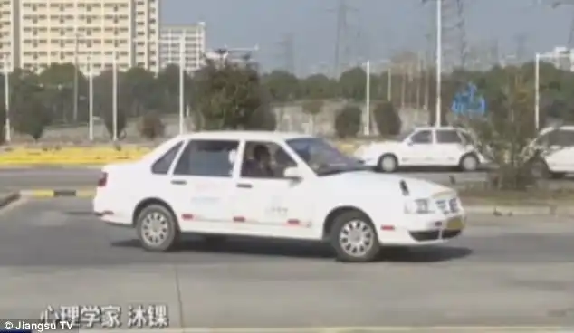 It's believed she was 'too nervous' taking a reverse parking manouveure and she passed out