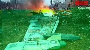 Rami Abdel Rahman, head of The Syrian Observatory for Human Rights, said: 'The pilot was killed as he fought Islamist rebels who had shot down his plane and were taking him captive.' 
