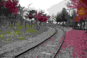 The English village, built north of South Korea's capital Seoul, features a tram and this quaint railtrack running through a wooded area