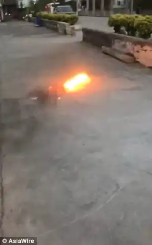 The rat flees to a bush while being engulfed by the flames