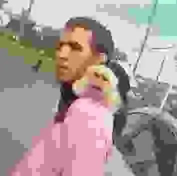 monkey driver cam