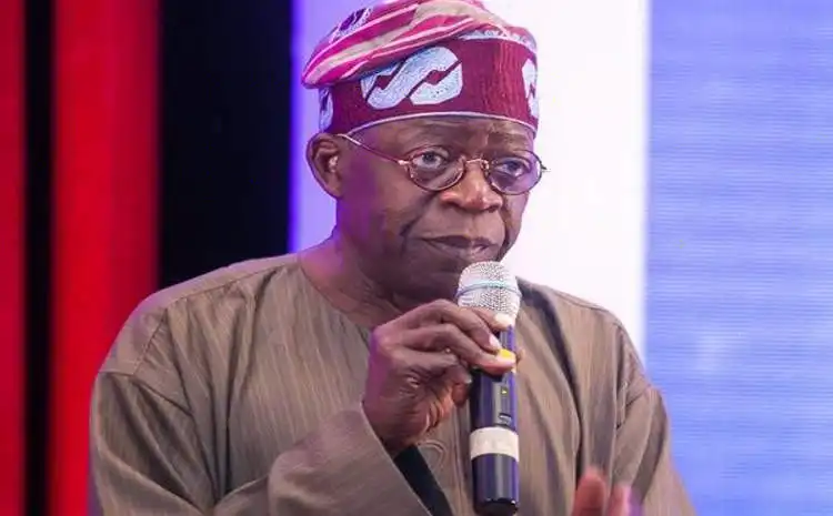 Senator Reveals Who Tinubu Is Backing As Lagos Gov