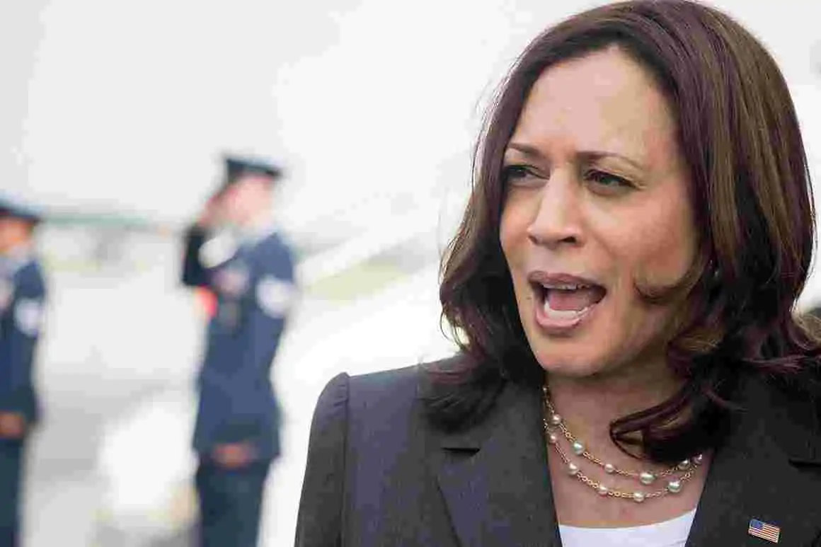 VP Kamala Harris speaks with the media.