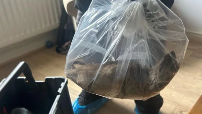 image for Rat The Size Of A Dog Found As Monster Vermin Run Riot In Yorkshire Village